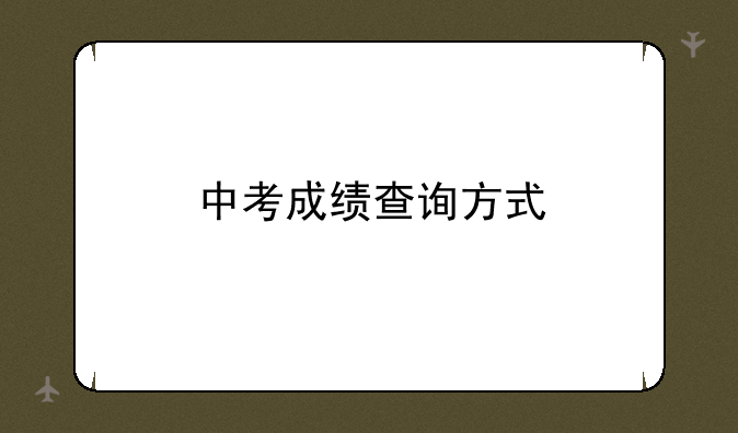 中考成绩查询方式