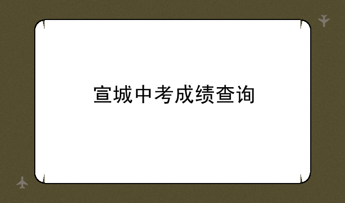 宣城中考成绩查询
