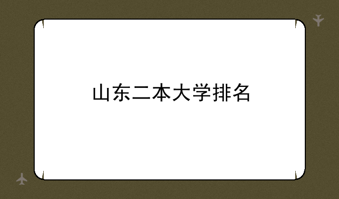 山东二本大学排名