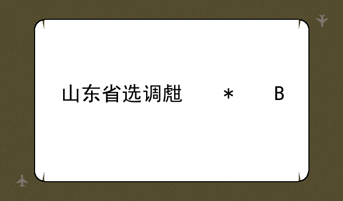 山东省选调生报名
