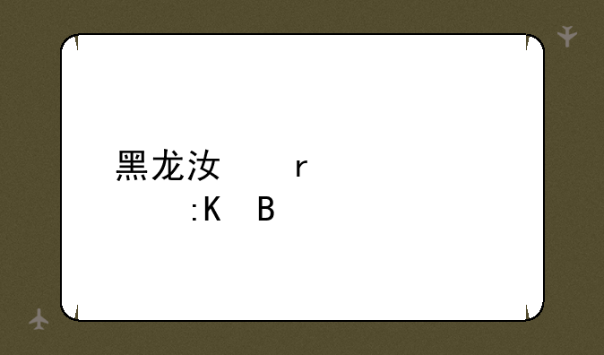 黑龙江省大学排名