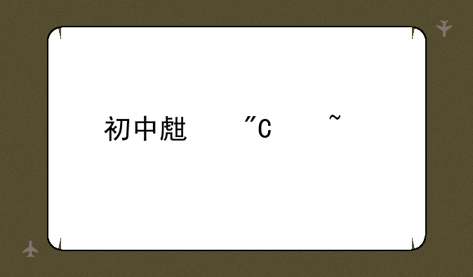 初中生成绩查询