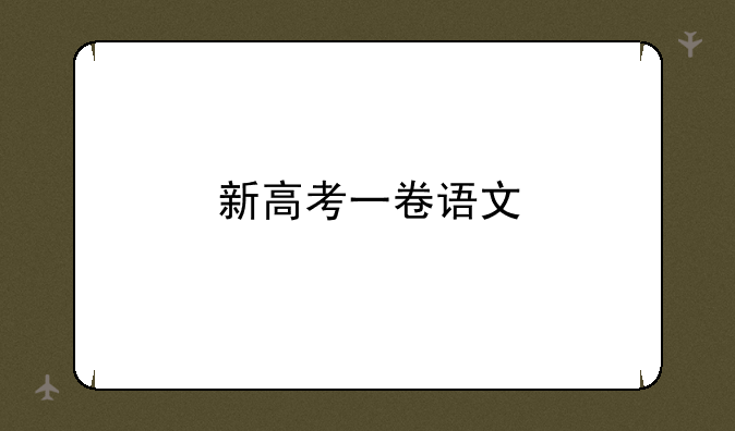 新高考一卷语文