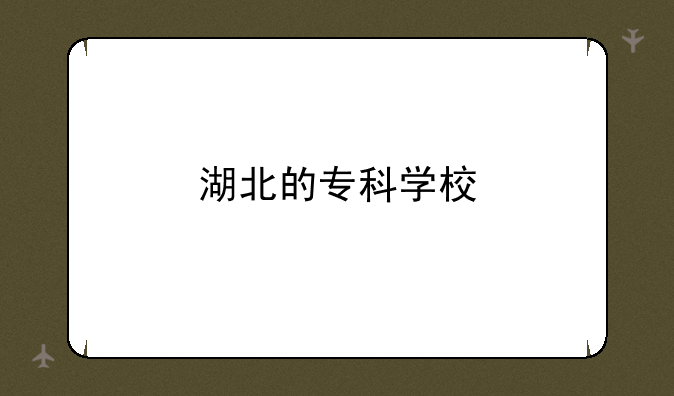 湖北的专科学校