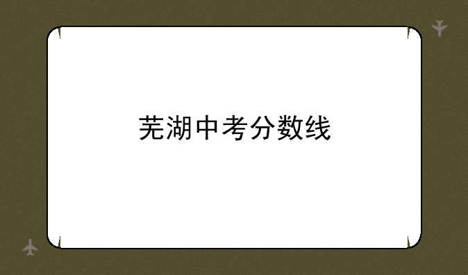 芜湖中考分数线