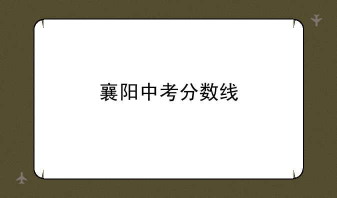 襄阳中考分数线