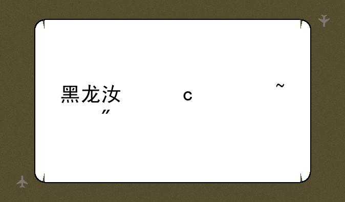黑龙江高考查分