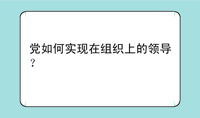 党如何实现在组织上的领导？