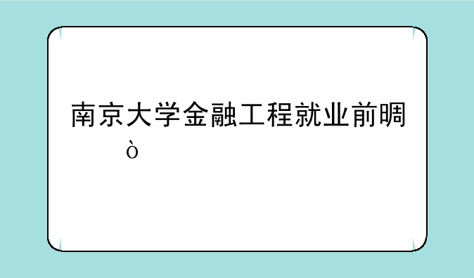 南京大学金融工程就业前景？