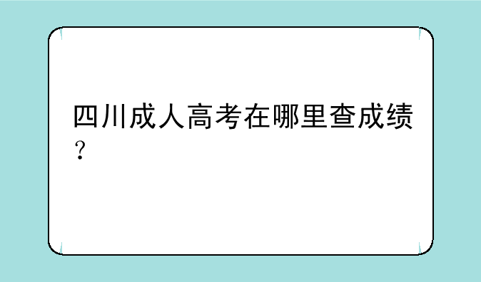 四川成人高考在哪里查成绩？