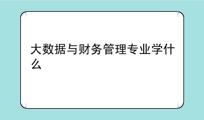大数据与财务管理专业学什么