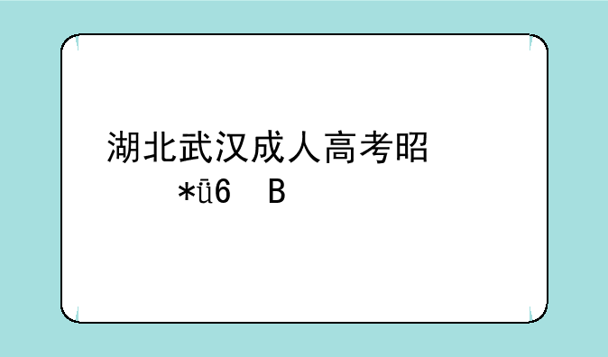 湖北武汉成人高考是梅花卷吗
