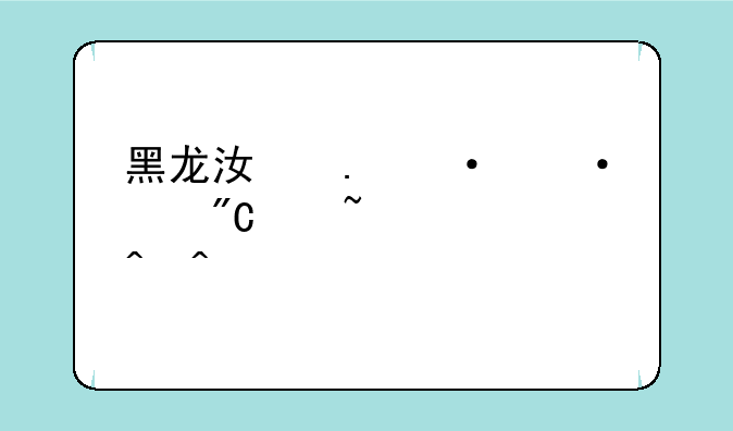 黑龙江英语六级成绩查询时间