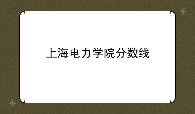 上海电力学院分数线