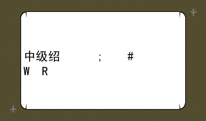 中级经济师考试用书