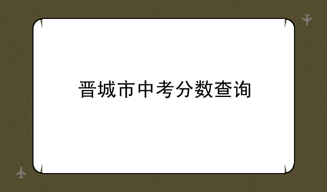 晋城市中考分数查询