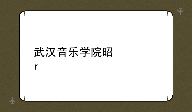 武汉音乐学院是几本