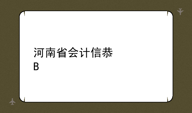 河南省会计信息管理