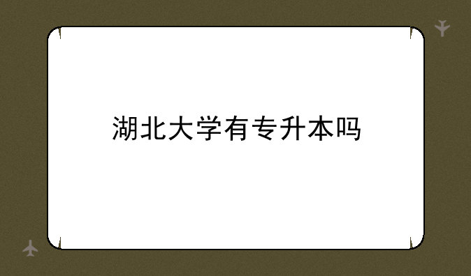 湖北大学有专升本吗