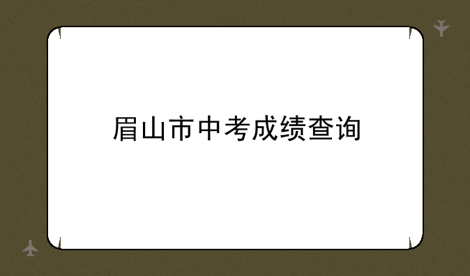 眉山市中考成绩查询