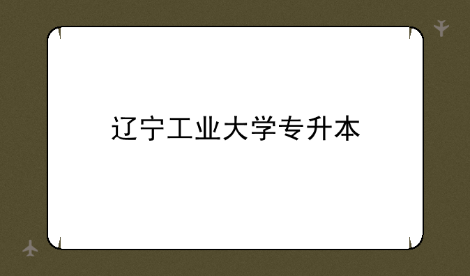 辽宁工业大学专升本