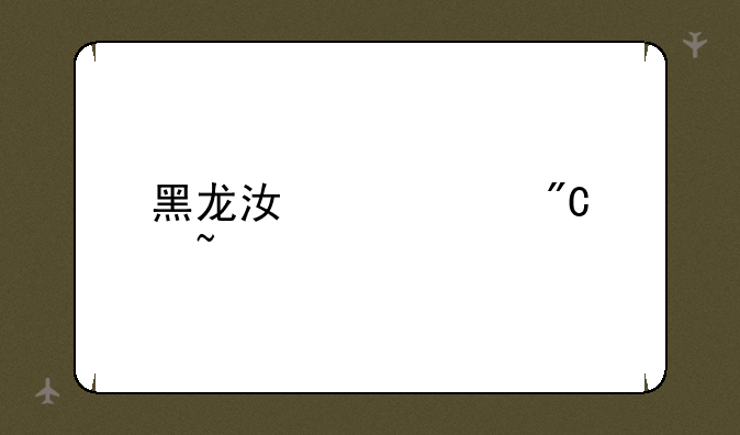 黑龙江中考成绩查询