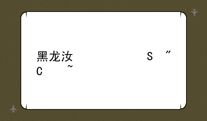 黑龙江考研成绩查询