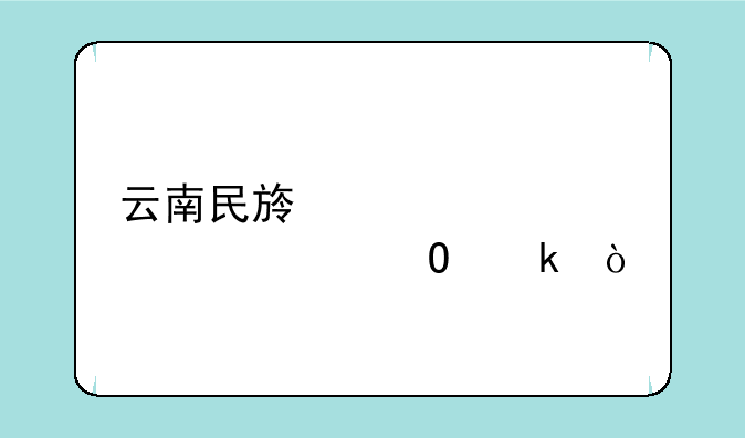 云南民族大学自考专业？