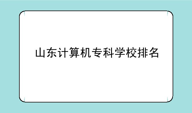 山东计算机专科学校排名