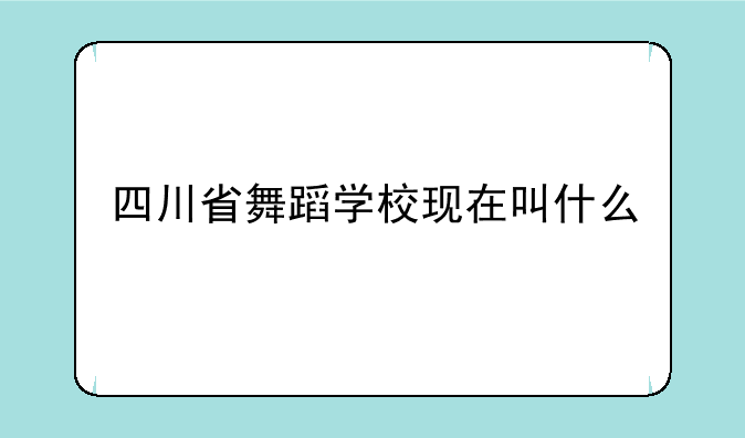 四川省舞蹈学校现在叫什么