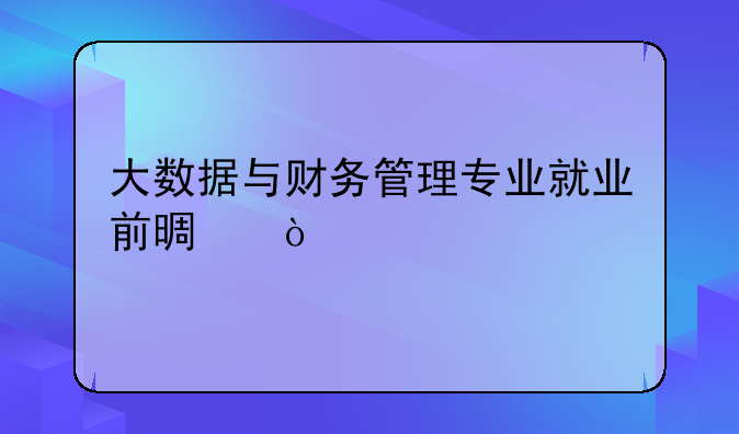 大数据与财务管理专业就业前景？