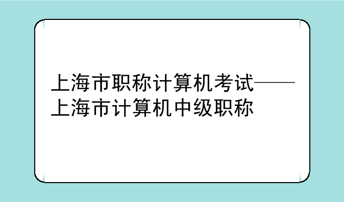上海市职称计算机考试——上海市计算机中级职称