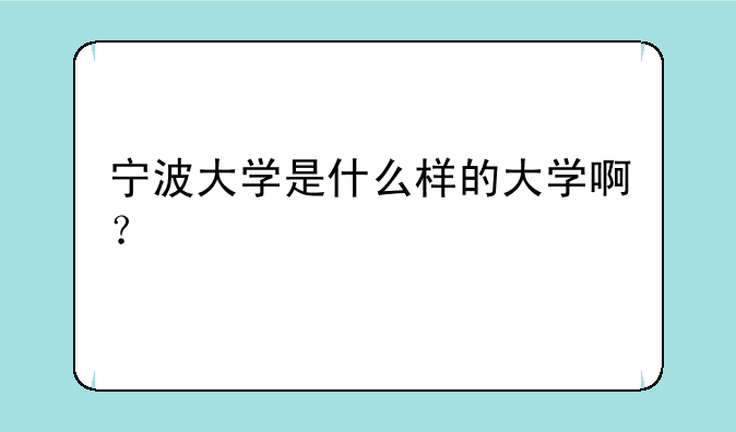宁波大学是什么样的大学啊？